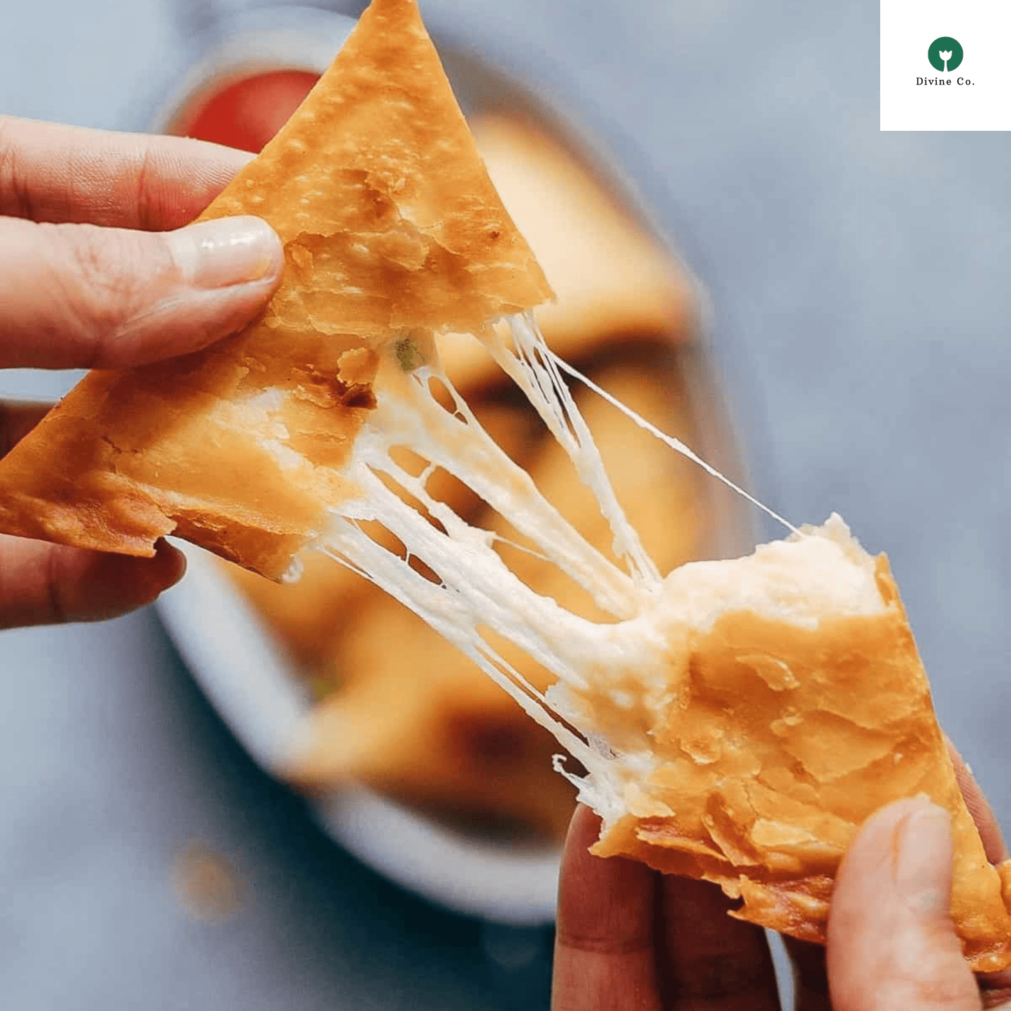 Chicken cheese samosa - Divine Co.