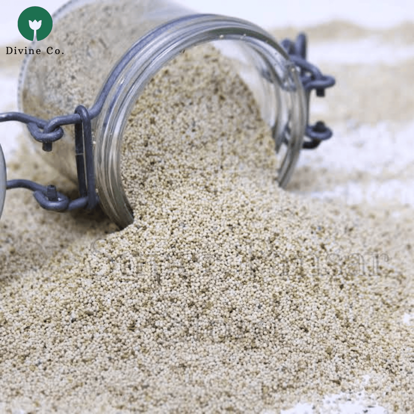 Khashkhas (poppy seeds) online - Divine Co.